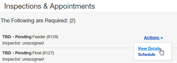 Inspection and appointments with view details Highlighted