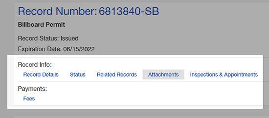 record number with record detail information